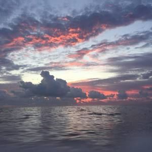 Meet your Posher, Jeff